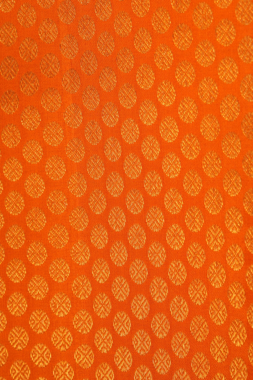 Image of Kanchipattu Brocade Orange Saree